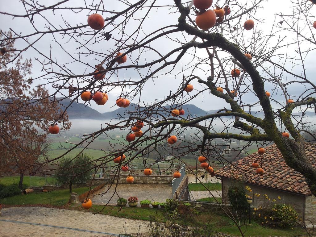 Fonte Chiara Villa Gubbio Bagian luar foto