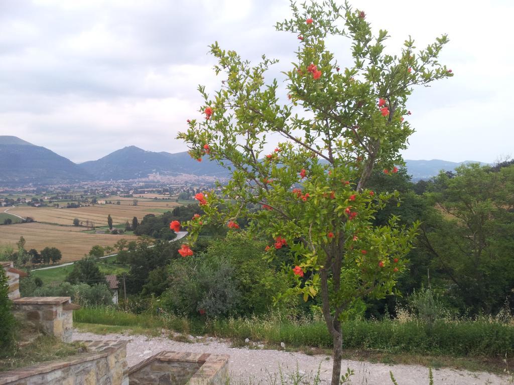 Fonte Chiara Villa Gubbio Ruang foto